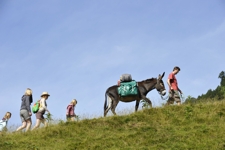 photo philippe Rocher