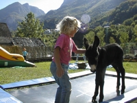 je peux jouer moi aussi ?